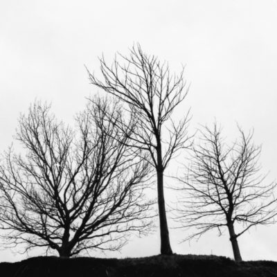 film is not dead © Stephan Cremer Wismar
