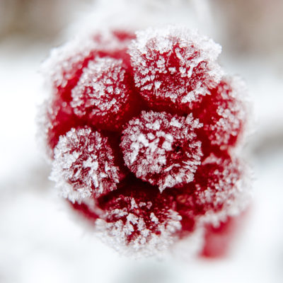 Frostigkeiten mit der Fuji X-T1 © Stephan Cremer